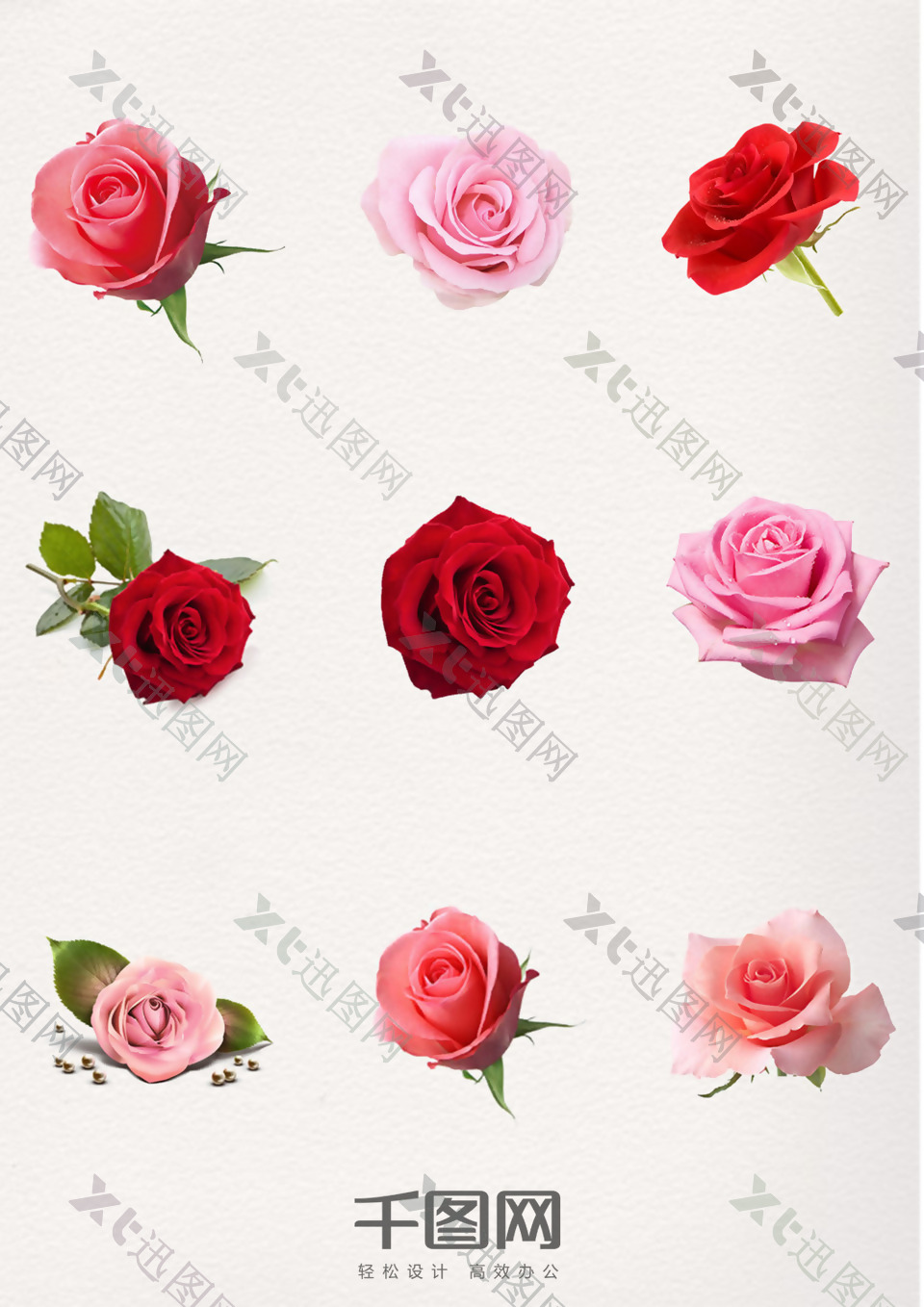粉玫瑰红玫瑰蓝色玫瑰花装饰元素