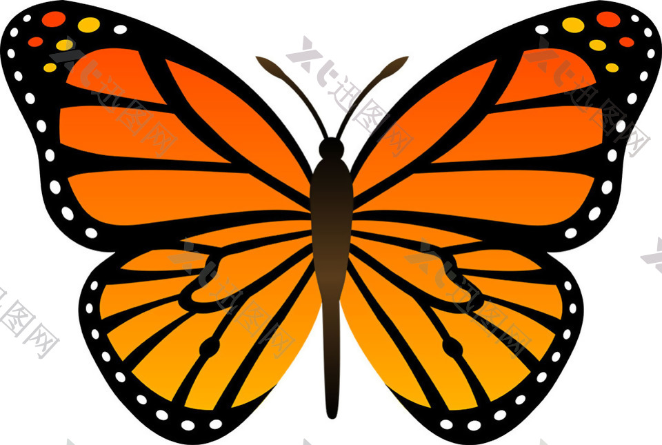 橙色展翅蝴蝶免抠png透明素材