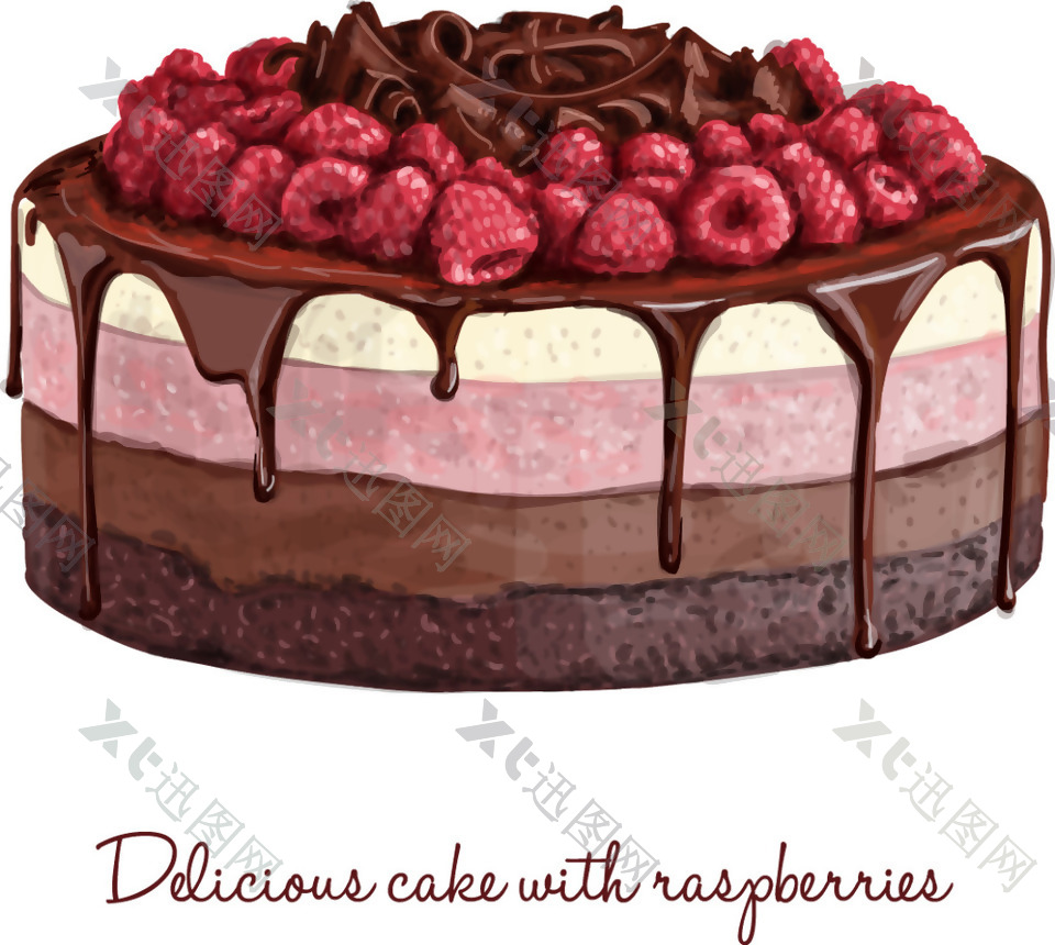 美味的草莓巧克力蛋糕插画