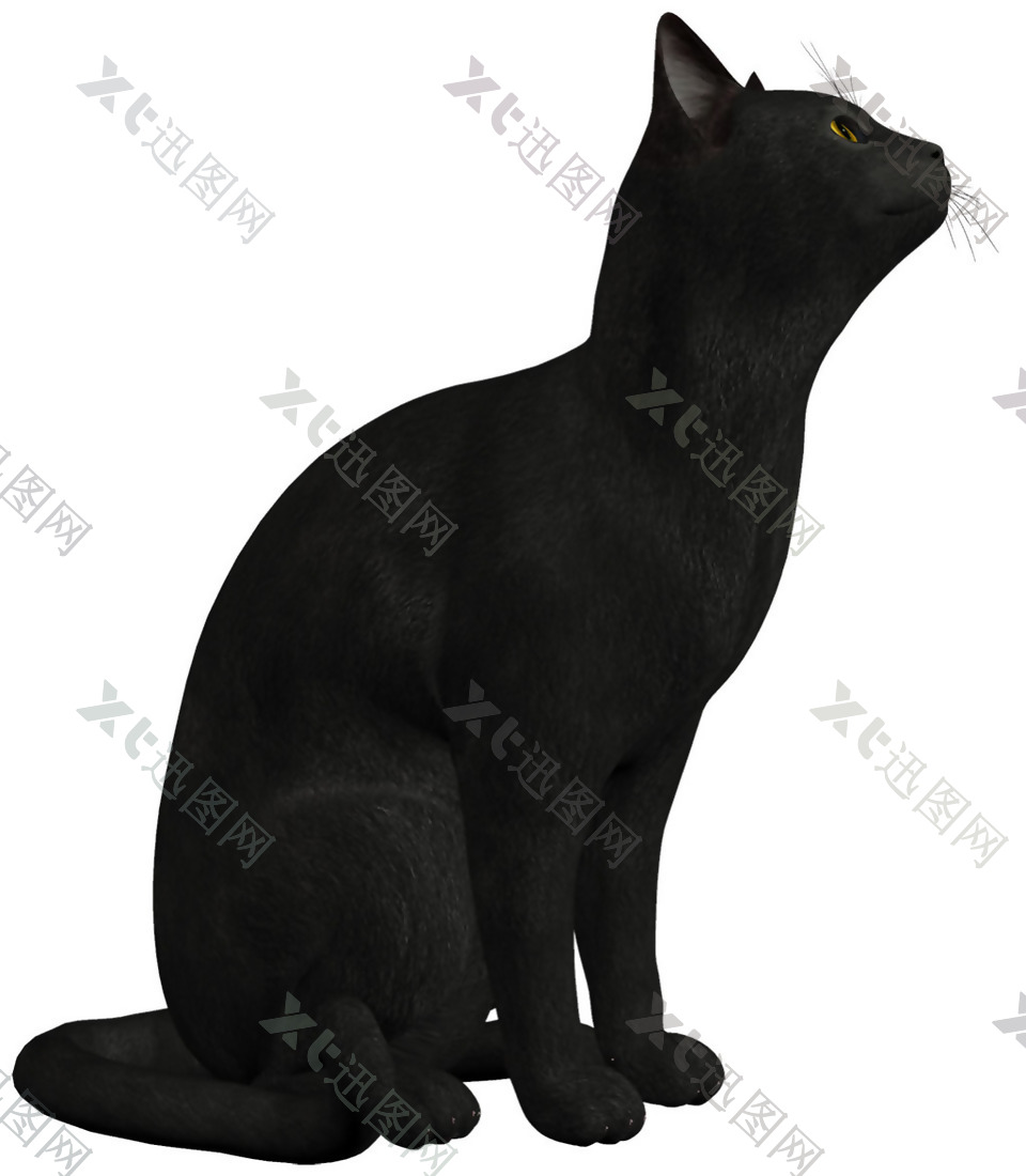 黑色猫咪侧面图免抠png透明素材