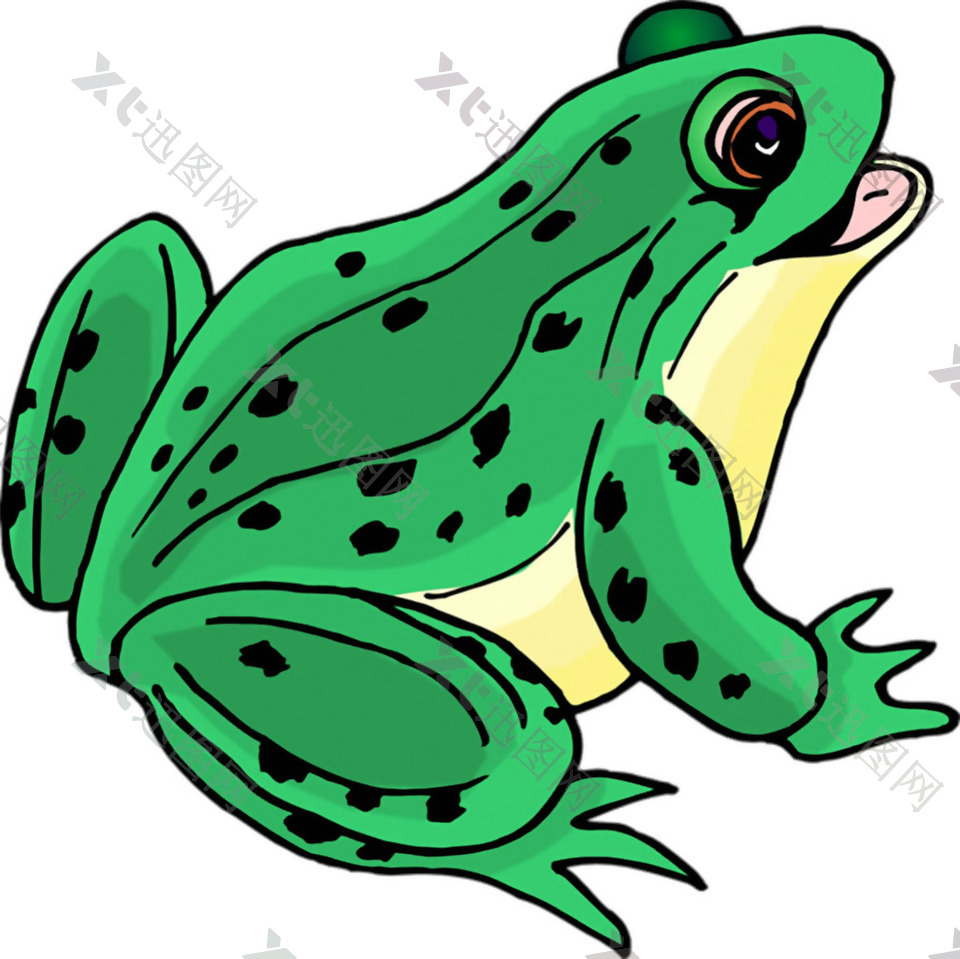 漂亮手绘绿色青蛙免抠png透明素材