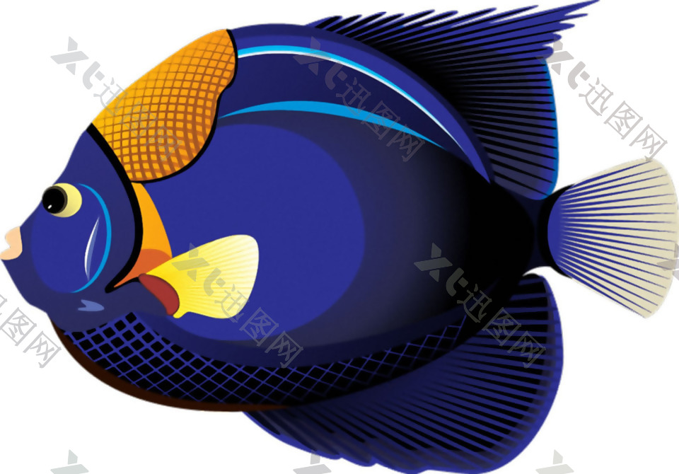 手绘深蓝色热带鱼免抠png透明素材