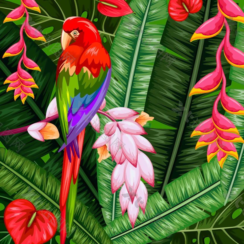热带丛林里的美丽鹦鹉插画