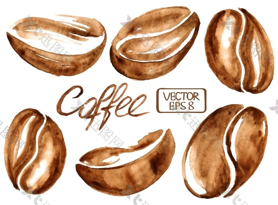 水彩绘香浓的咖啡豆插画