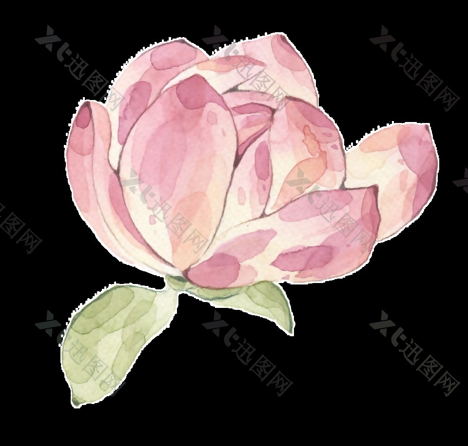 粉色花朵透明装饰图案