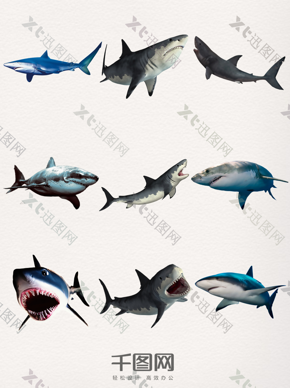 凶猛的鲨鱼元素素材