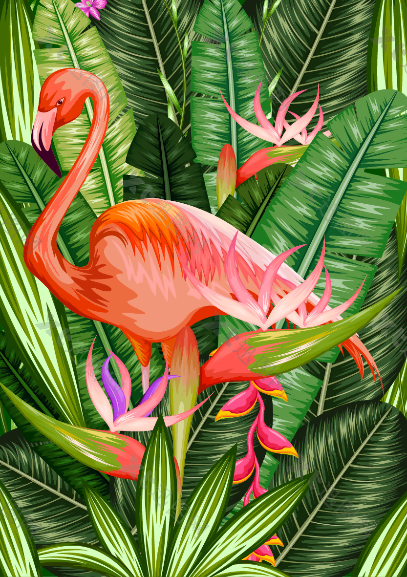 热带植物里的仙鹤插画