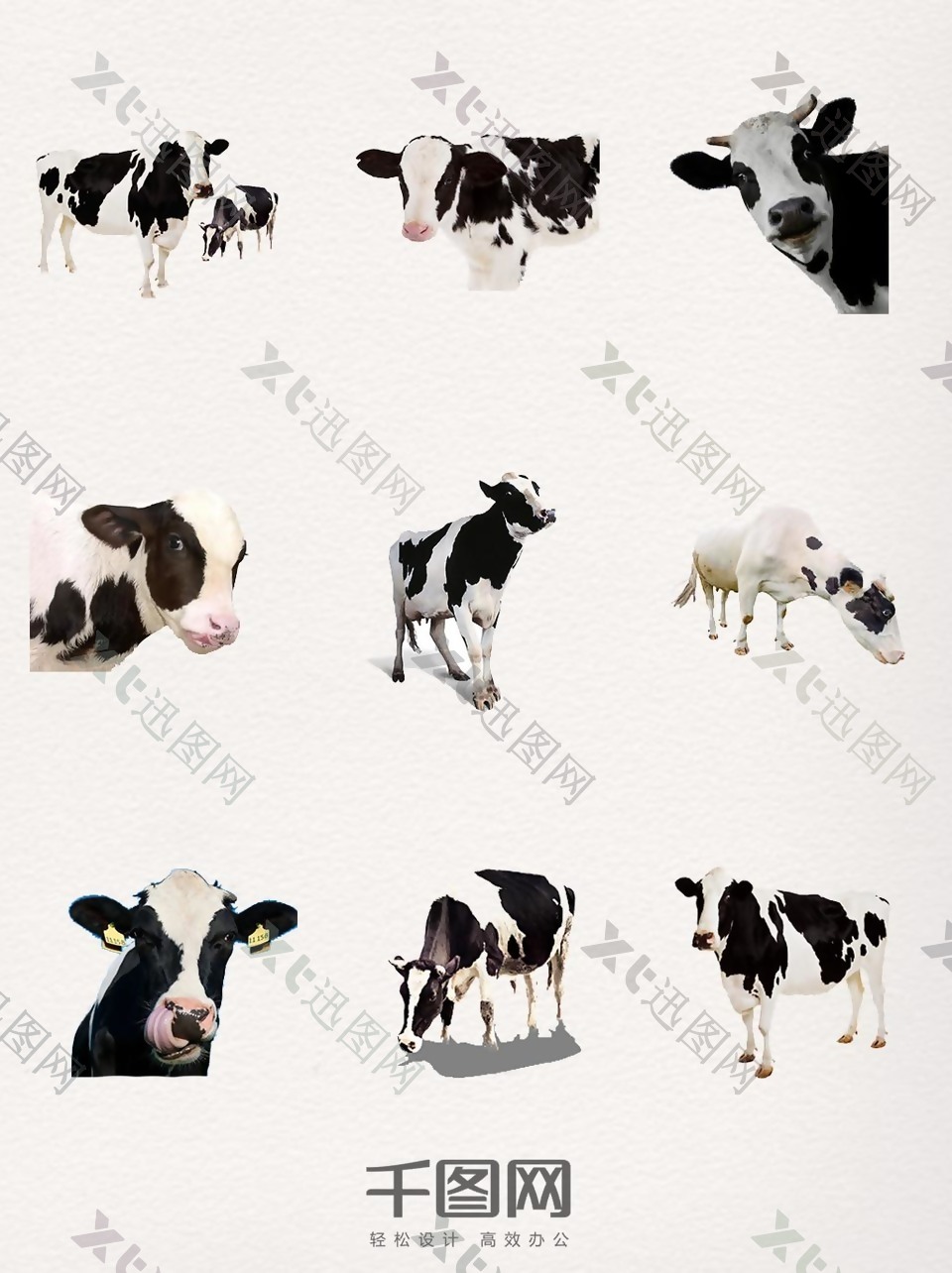 奶牛装饰图案设计元素