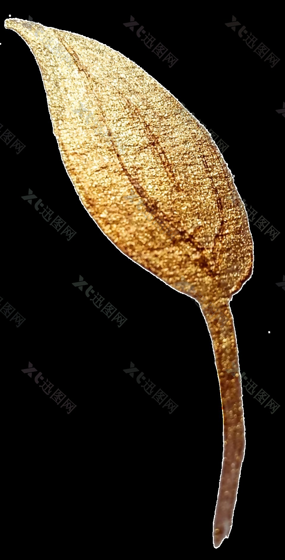 金色植物png透明素材