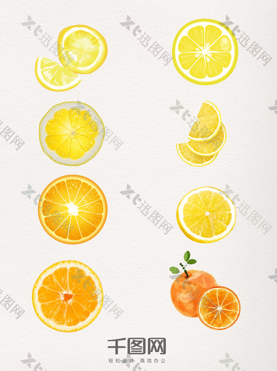 一组形态多样的橘子切片图