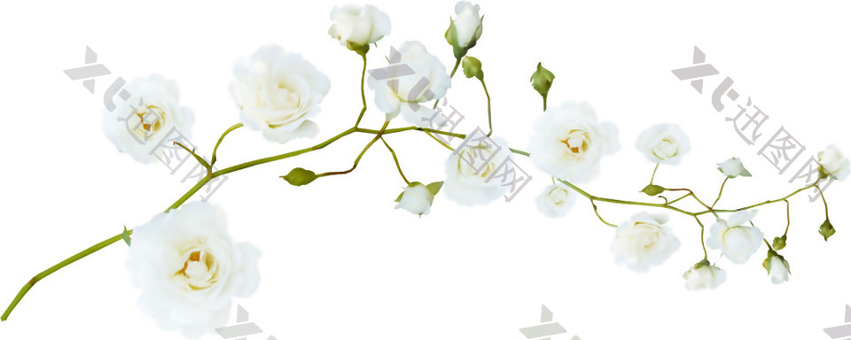 一串白色花朵png元素素材