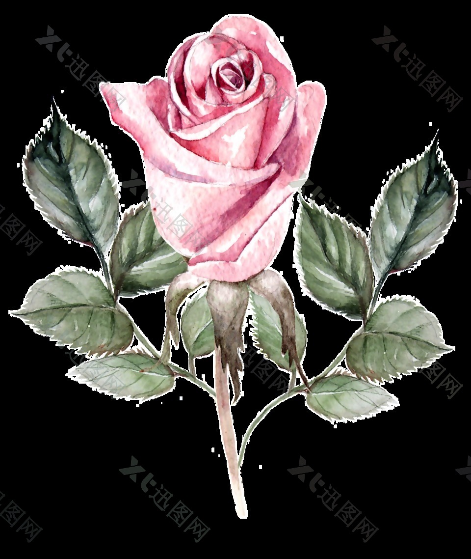 粉色水墨玫瑰花卡通透明素材