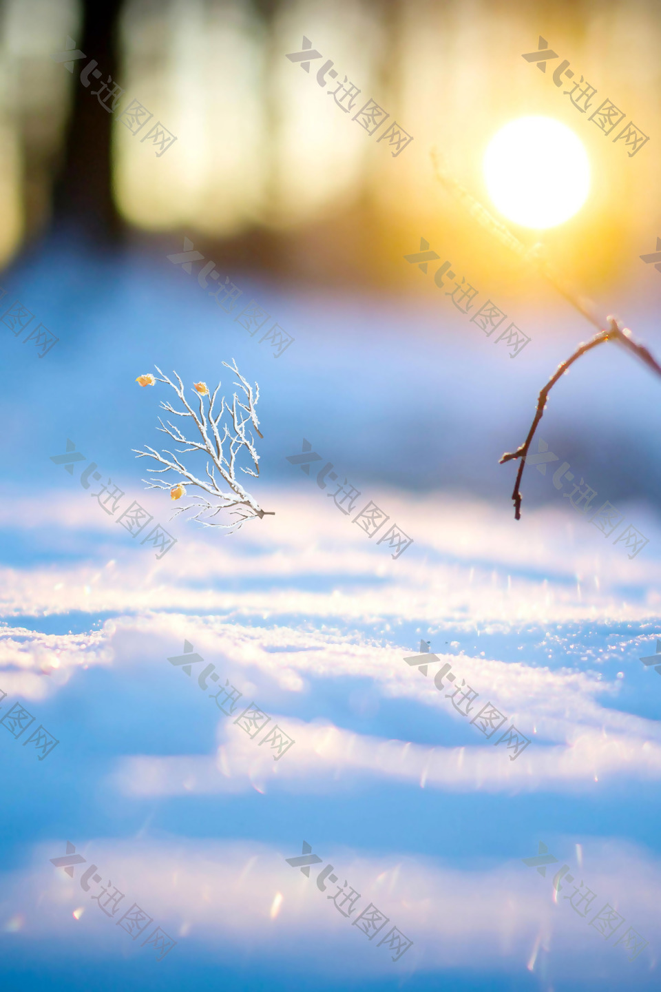 温馨阳光雪花背景