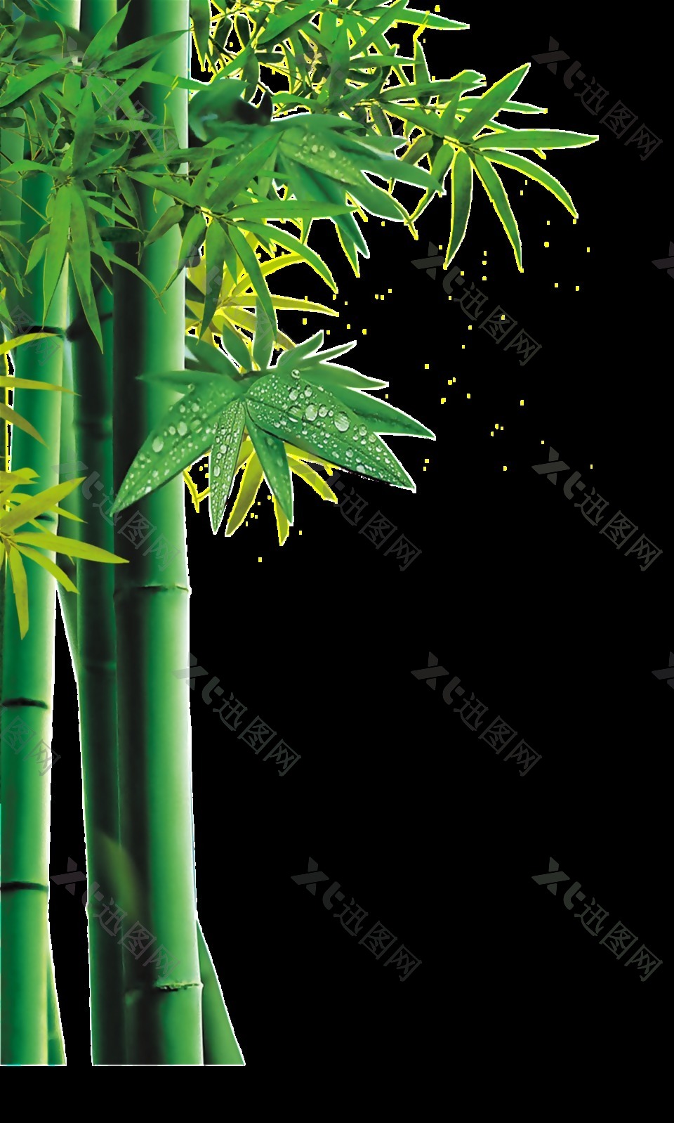绿油油竹子png透明素材