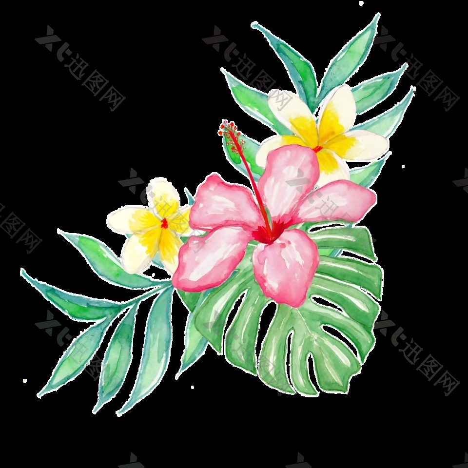 热带植物卡通透明素材