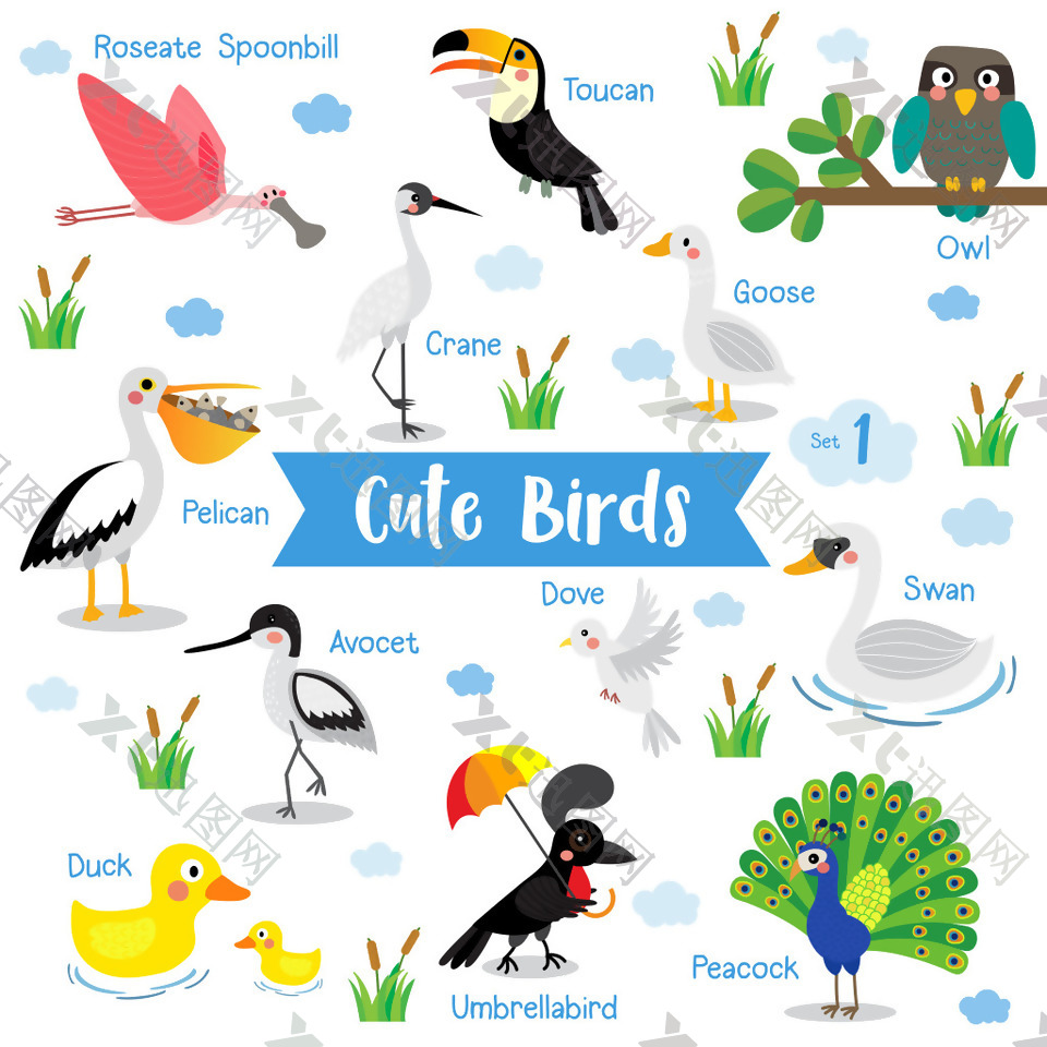 可爱鸟类主题动物儿童插画