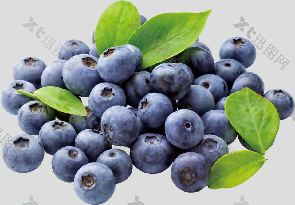 新鲜带叶子的蓝莓免抠psd透明素材