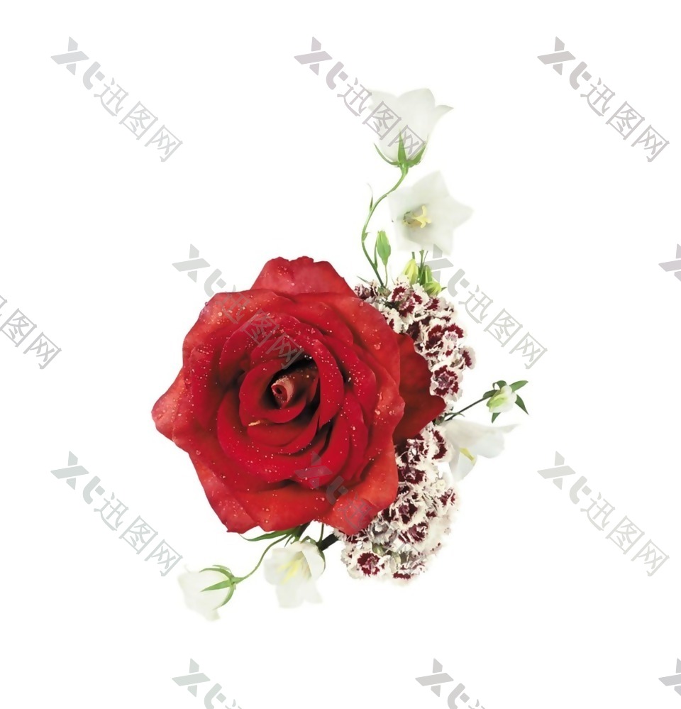 浪漫红色花朵元素