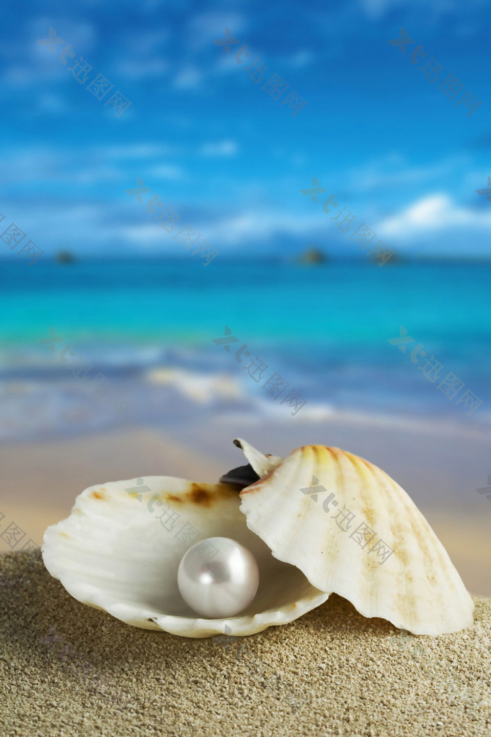 沙滩珍珠背景