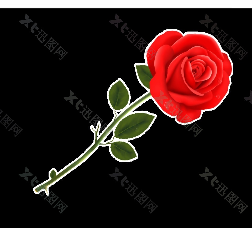 求婚玫瑰花透明素材