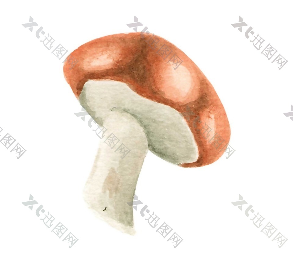手绘香菇食材元素