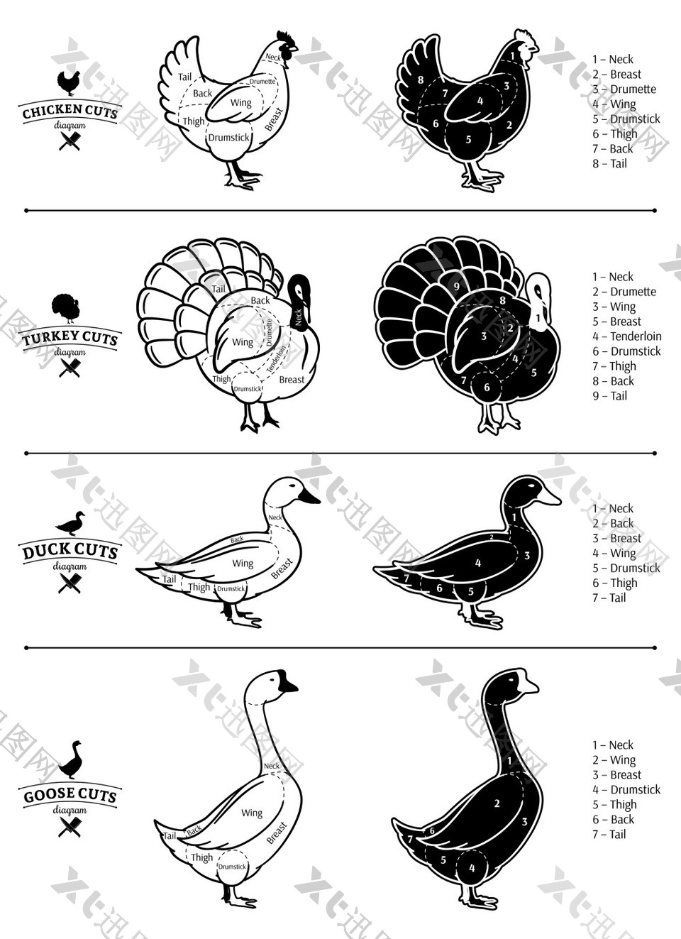 黑白手绘家禽动物插画