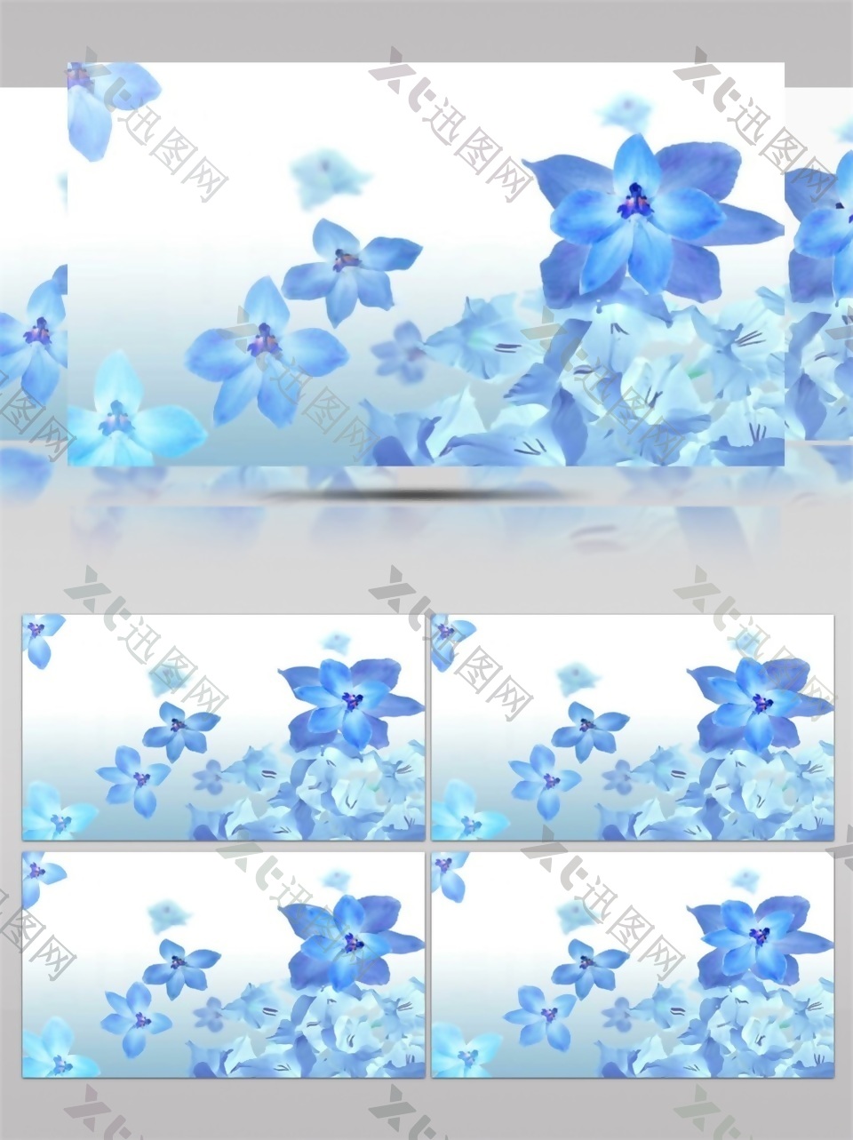 蓝色铅笔画花朵高清视频素材