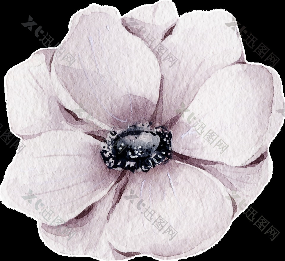 沁紫花朵透明装饰素材