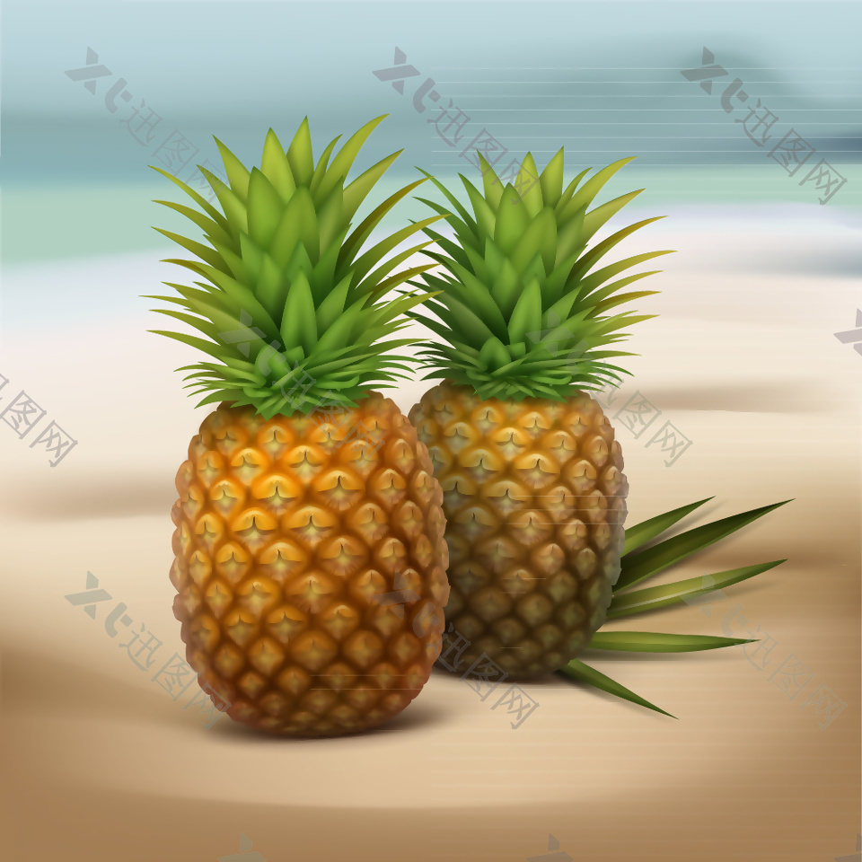 沙滩上的2个新鲜菠萝矢量图