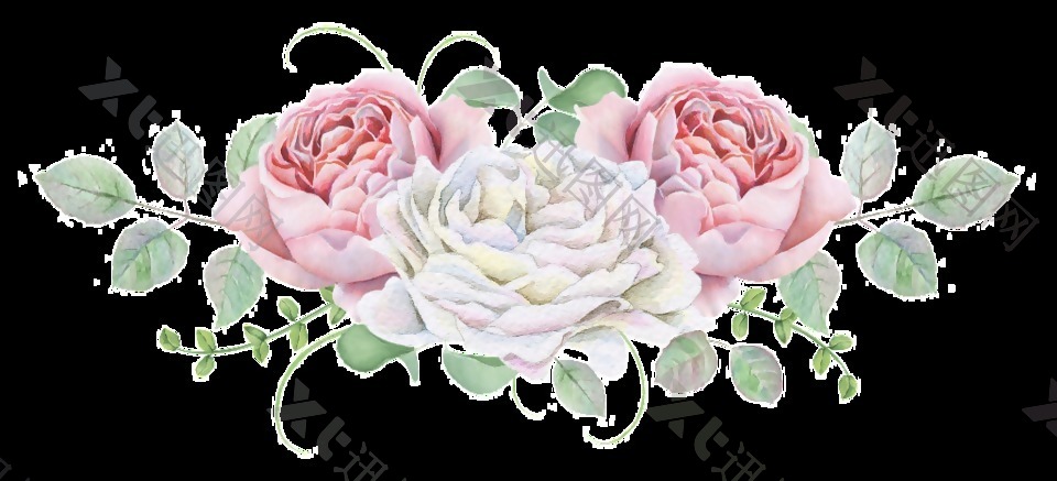 手绘玫瑰花和茶花png透明素材