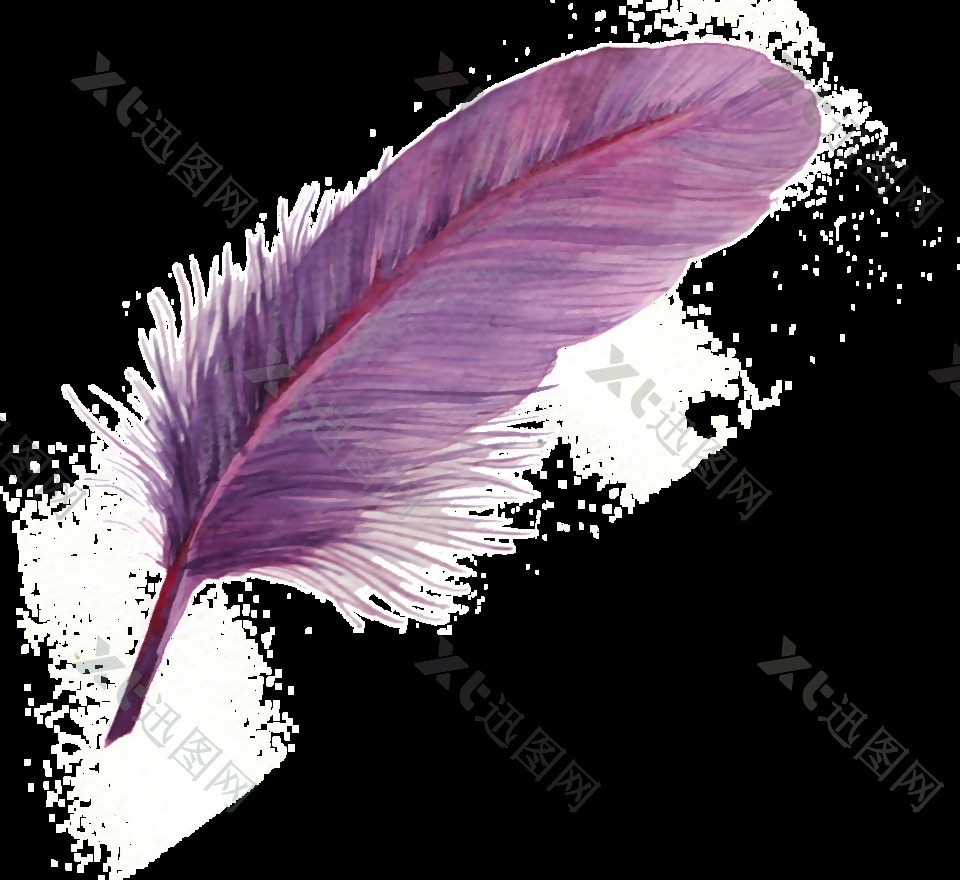 灿紫羽毛透明装饰素材