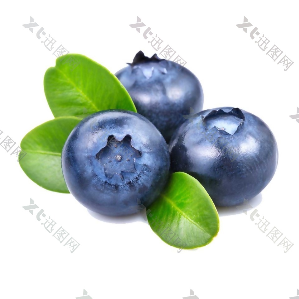 水果绿叶蓝莓元素