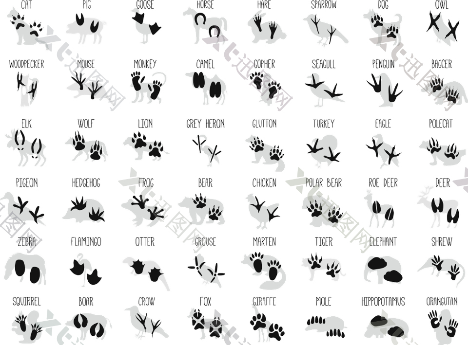 黑白时尚简约动物爪印图标
