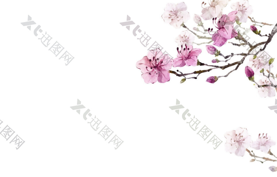 清新灰粉色花瓣樱花装饰元素