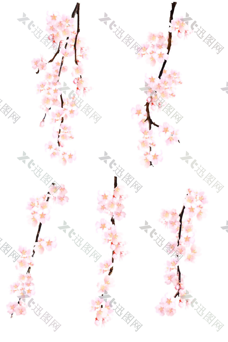 清新樱花树枝装饰元素
