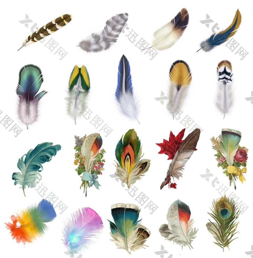 彩色各类羽毛图案PNG元素