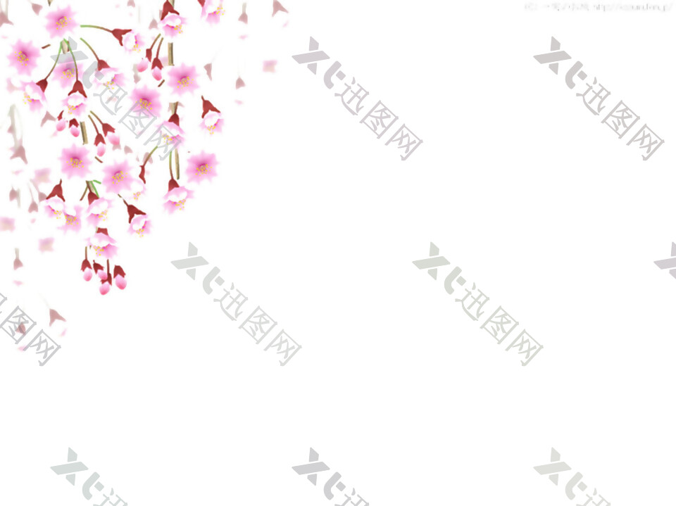 清新风格白粉色花瓣樱花装饰元素
