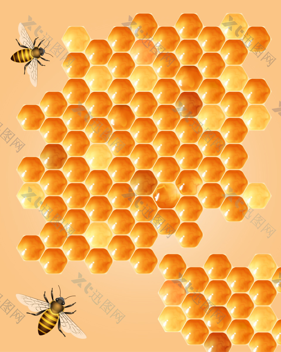 矢量质感蜂蜜蜂巢背景