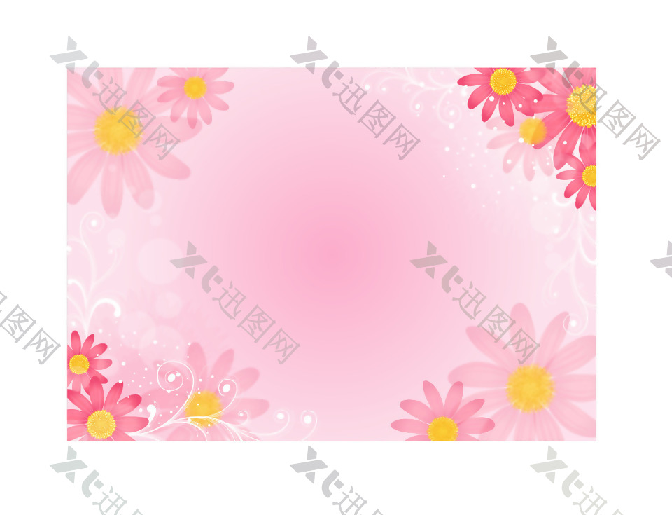 粉色雏菊背景
