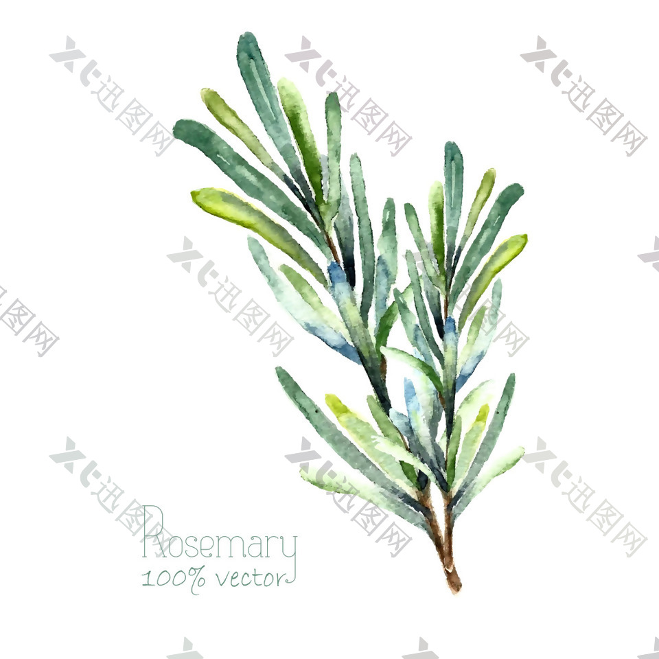 清新绿色手绘植物插画