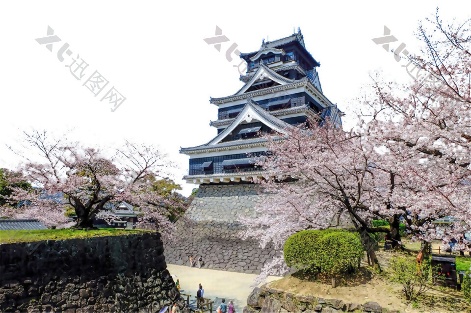 清新樱花实景日本旅游装饰元素