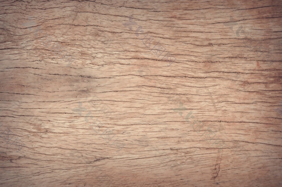 树皮纹理木纹木材