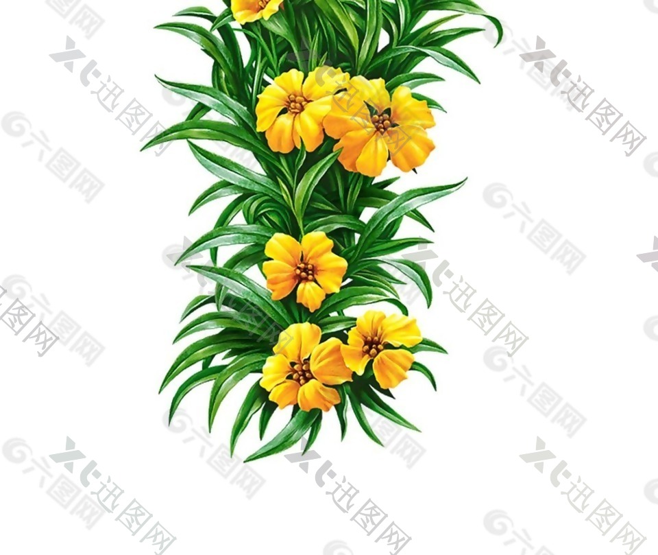 黄色小花和绿叶png元素