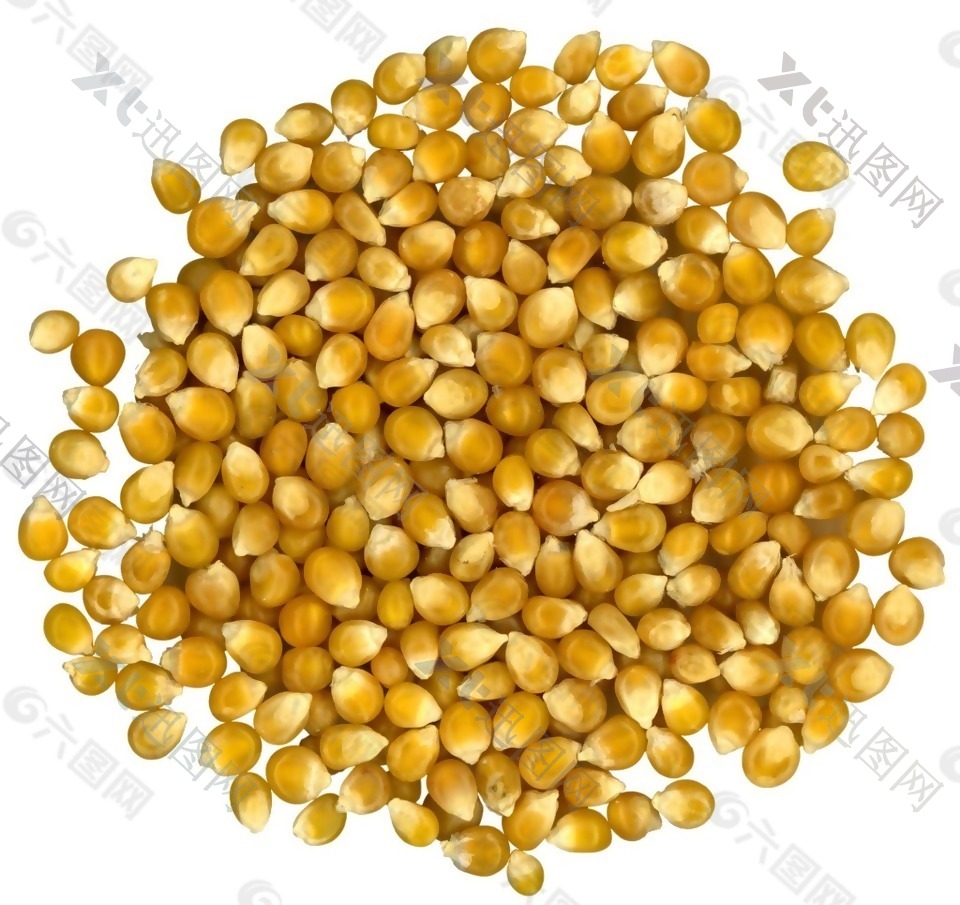 黄金玉米粒png元素