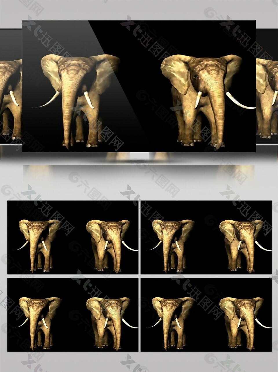 可爱动物大象高清视频素材