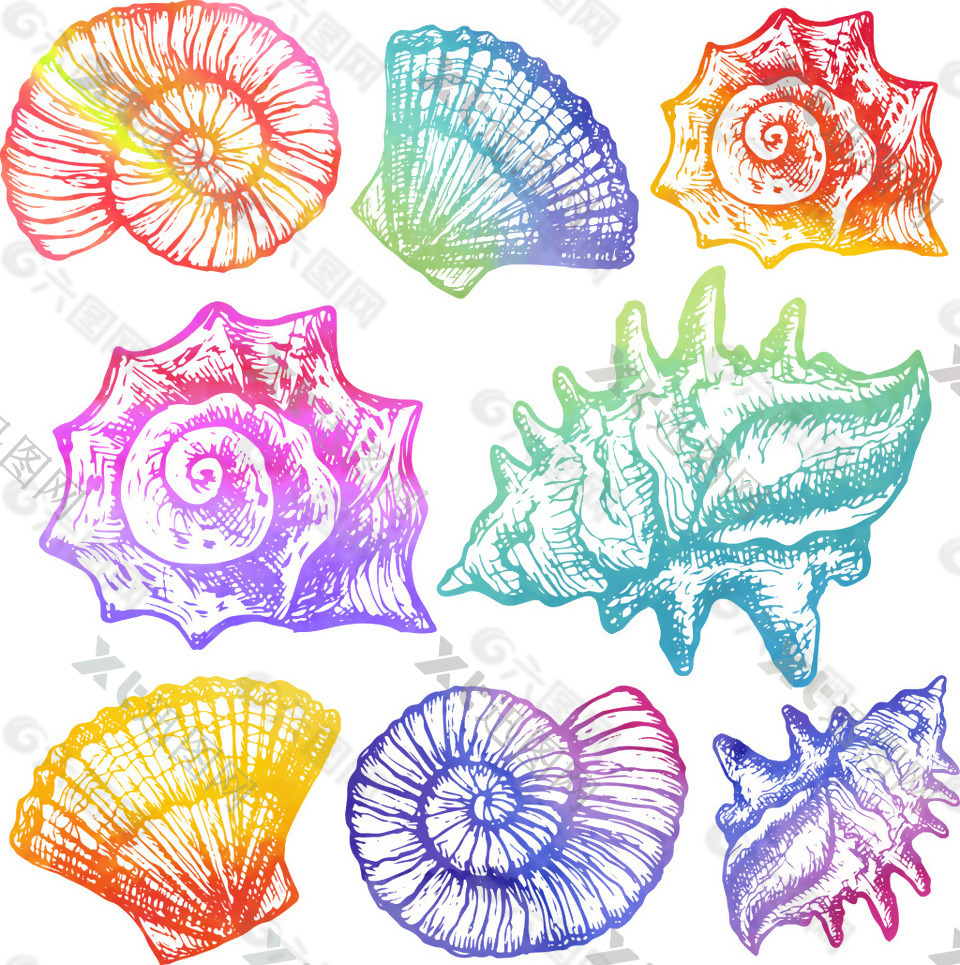 手绘彩色渐变海螺插画