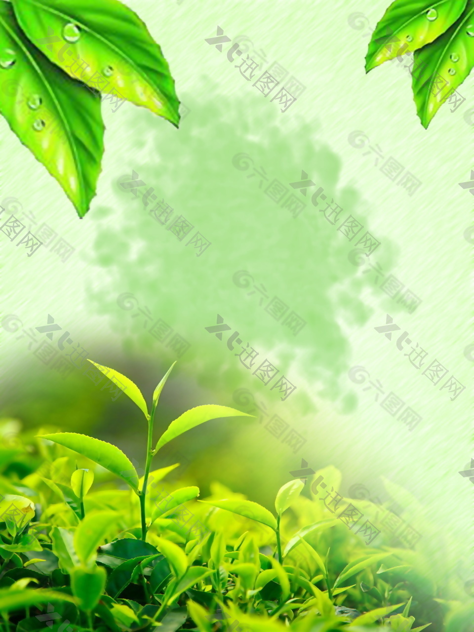 绿色嫩芽茶叶文化海报背景