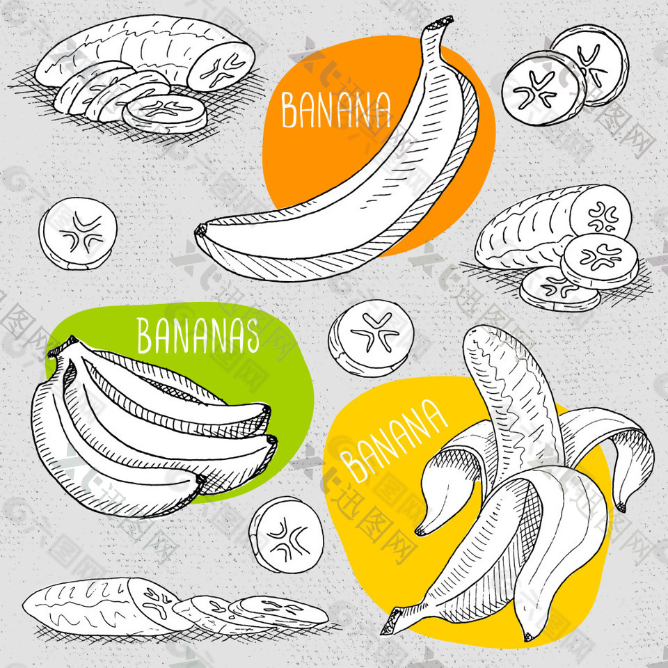 手绘美味的香蕉插画