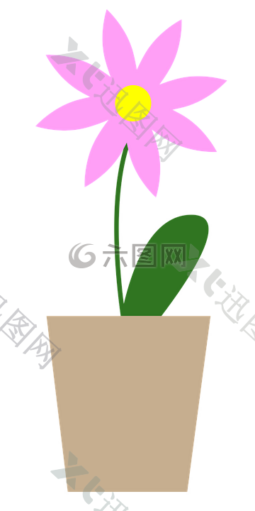 花,盆栽的植物,家庭装饰