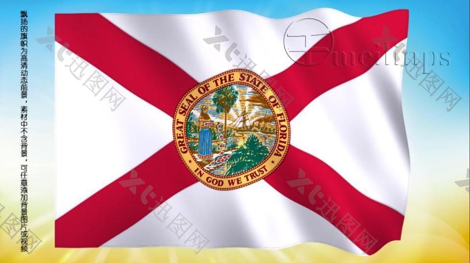 动态前景旗帜飘扬230 佛罗里达州